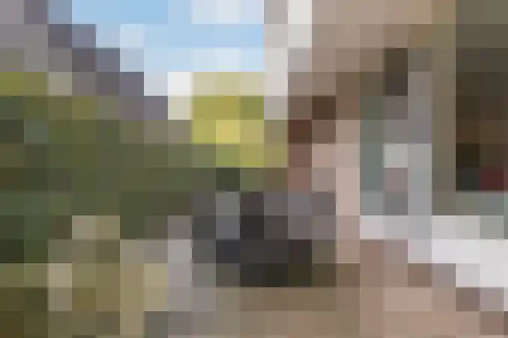 Bostulp 1 Leeuwarden thumbnail 25