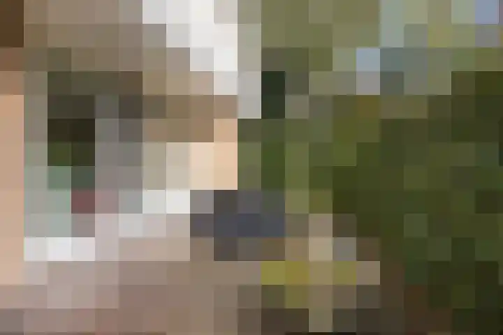Bostulp 1 Leeuwarden thumbnail 26