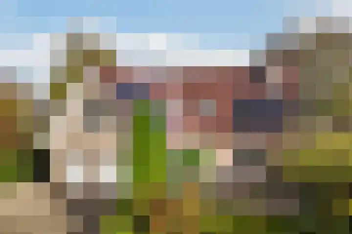 Bostulp 1 Leeuwarden thumbnail 42