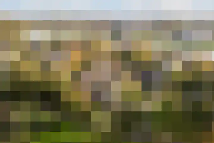 Bostulp 1 Leeuwarden thumbnail 45