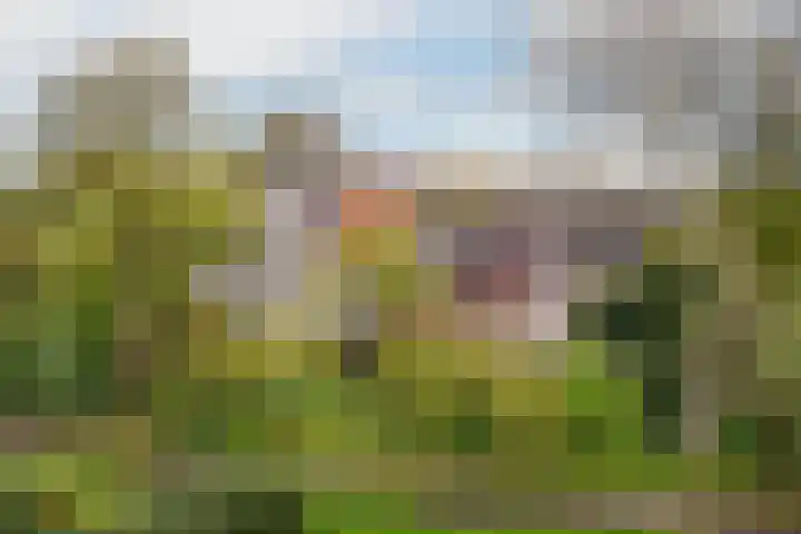 Bostulp 1 Leeuwarden thumbnail 5
