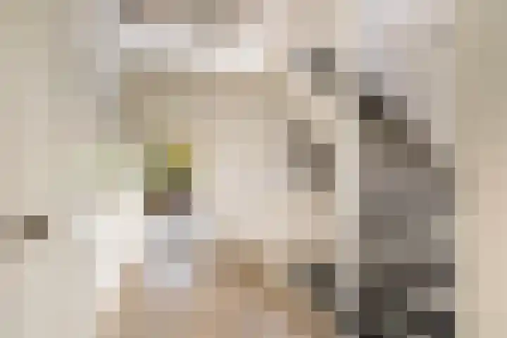 Bostulp 1 Leeuwarden thumbnail 6
