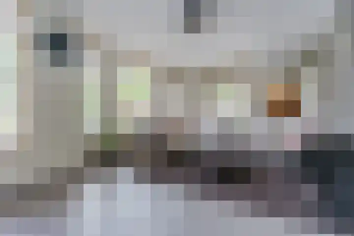 Bosuil 1 Mierlo thumbnail 10