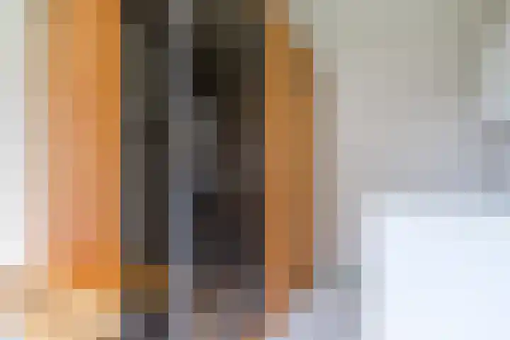 Bosuil 1 Mierlo thumbnail 21