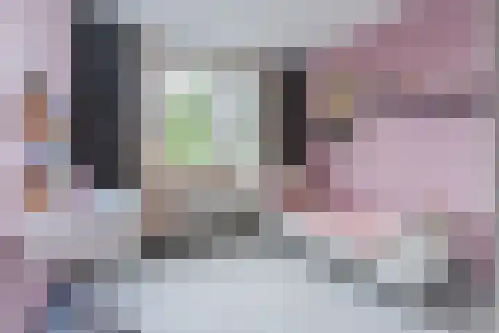 Bosuil 1 Mierlo thumbnail 33