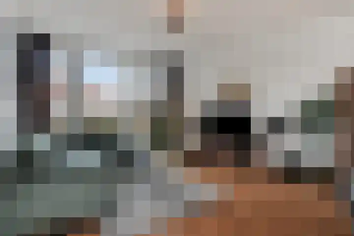Bosuil 11 Mierlo thumbnail 12