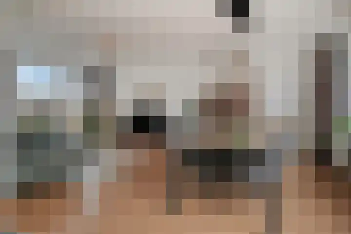 Bosuil 11 Mierlo thumbnail 13