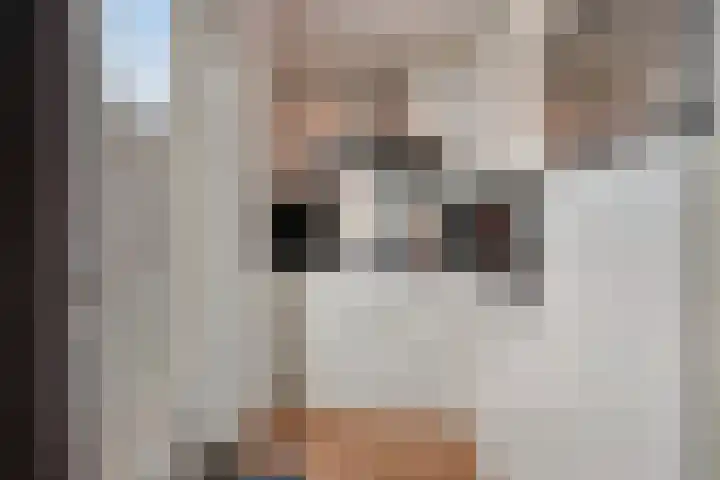 Bosuil 11 Mierlo thumbnail 18