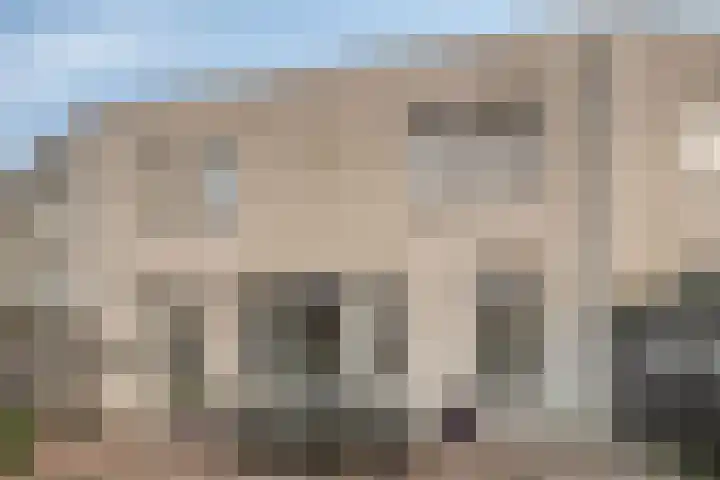 Bosuil 11 Mierlo thumbnail 35
