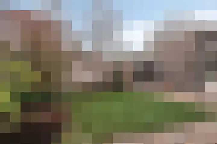 Bosuil 11 Mierlo thumbnail 37