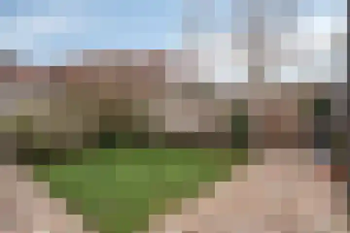 Bosuil 11 Mierlo thumbnail 38