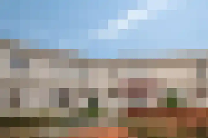 Bosuil 11 Mierlo thumbnail 40
