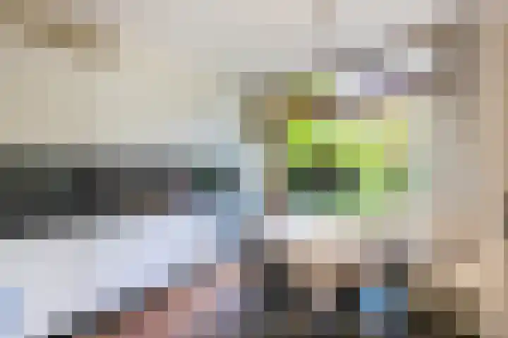 Bosuillaan 26 Bilthoven thumbnail 19