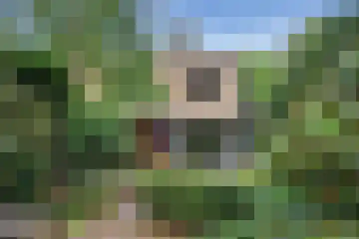 Bosuillaan 26 Bilthoven thumbnail 50