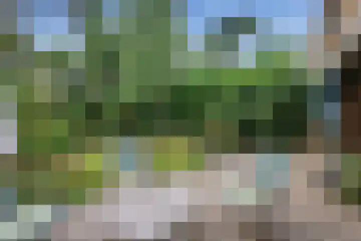 Bosuillaan 26 Bilthoven thumbnail 52