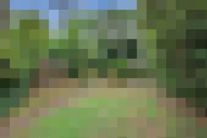 Bosuillaan 26 Bilthoven thumbnail 53