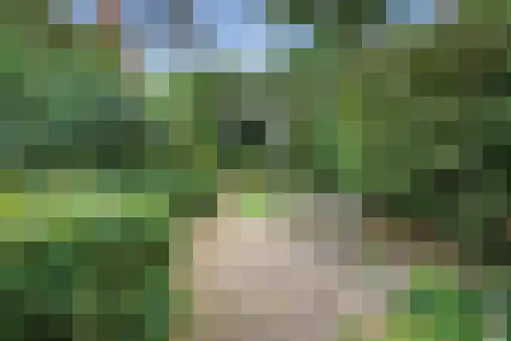 Bosuillaan 26 Bilthoven thumbnail 54