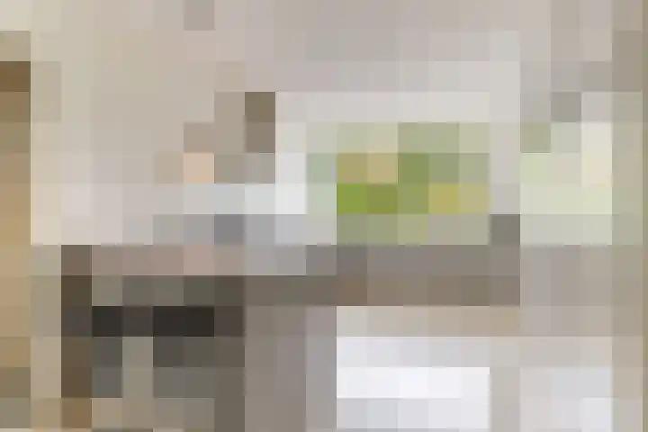 Bosuillaan 50 Bilthoven thumbnail 14