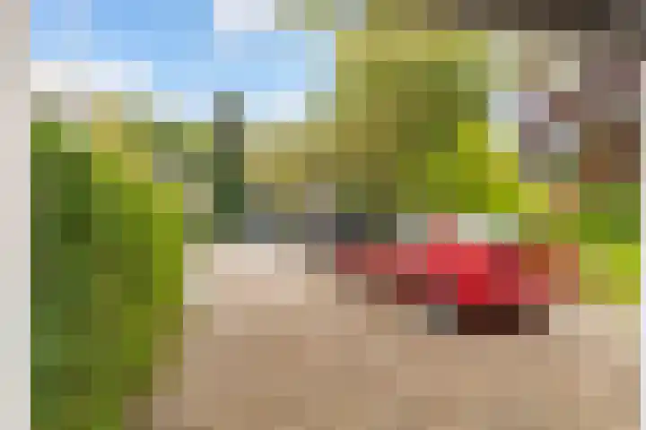 Bosuillaan 50 Bilthoven thumbnail 32
