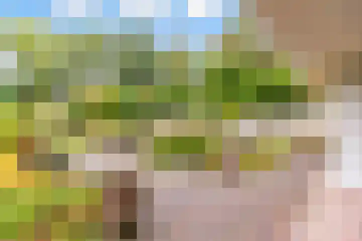Bosuillaan 50 Bilthoven thumbnail 34