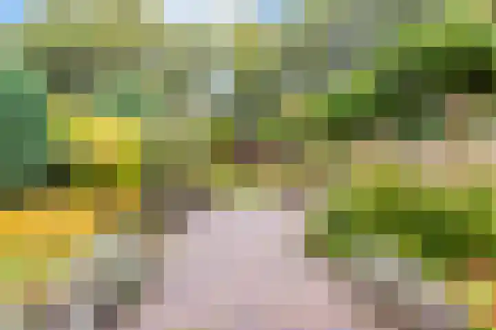 Bosuillaan 50 Bilthoven thumbnail 35