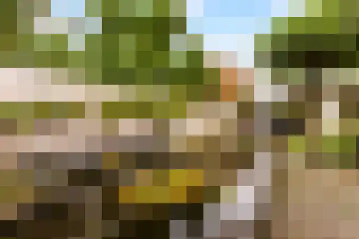 Bosuillaan 50 Bilthoven thumbnail 37