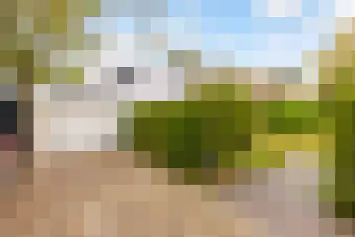 Bosuillaan 50 Bilthoven thumbnail 4