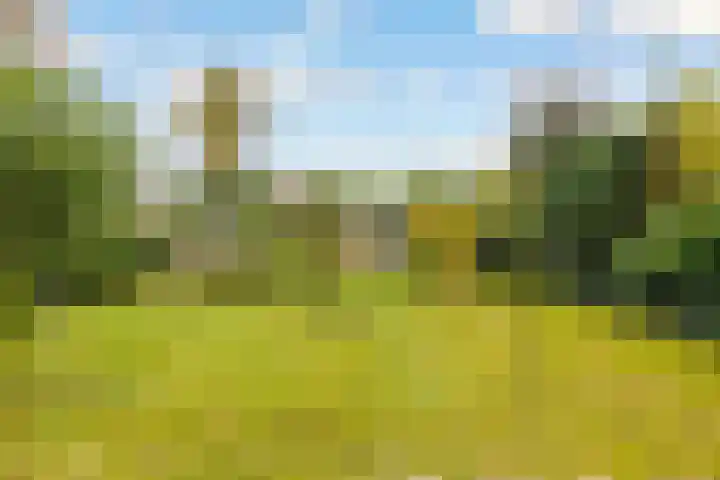 Bosuillaan 50 Bilthoven thumbnail 42