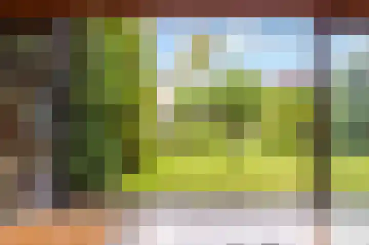 Bosuillaan 50 Bilthoven thumbnail 47
