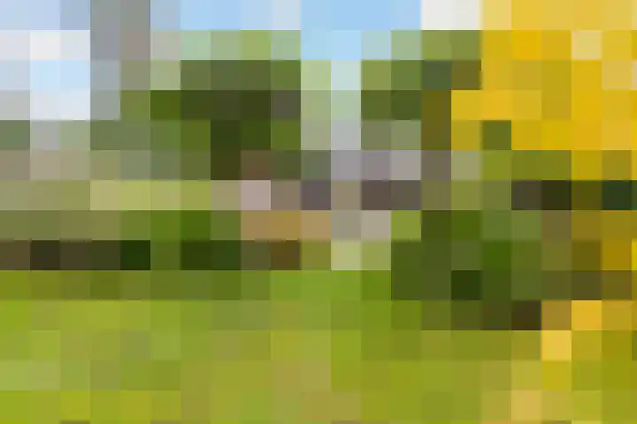 Bosuillaan 50 Bilthoven thumbnail 49