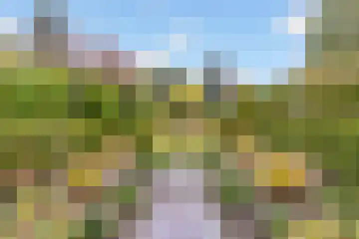 Bosuillaan 50 Bilthoven thumbnail 51
