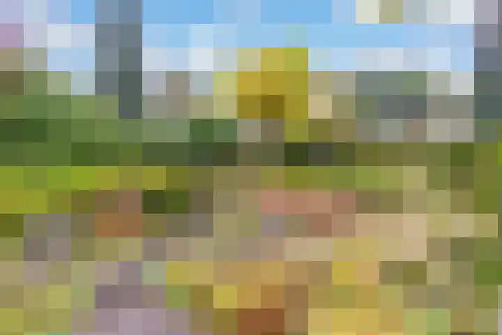 Bosuillaan 50 Bilthoven thumbnail 52