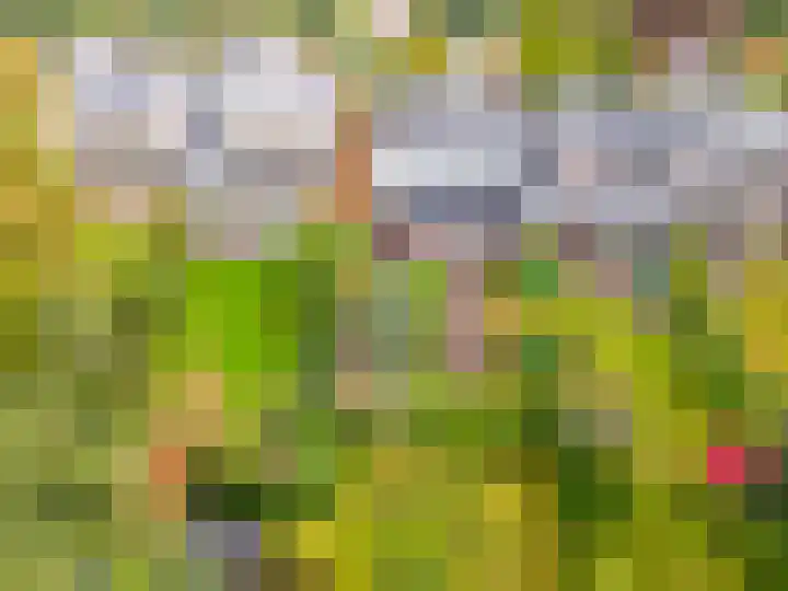 Bosuillaan 50 Bilthoven thumbnail 54