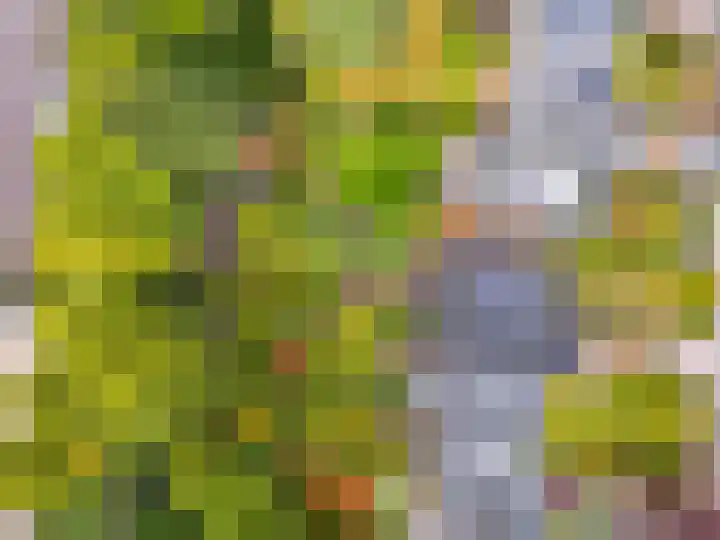 Bosuillaan 50 Bilthoven thumbnail 55