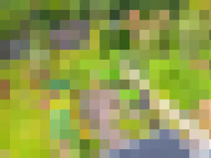 Bosuillaan 50 Bilthoven thumbnail 56