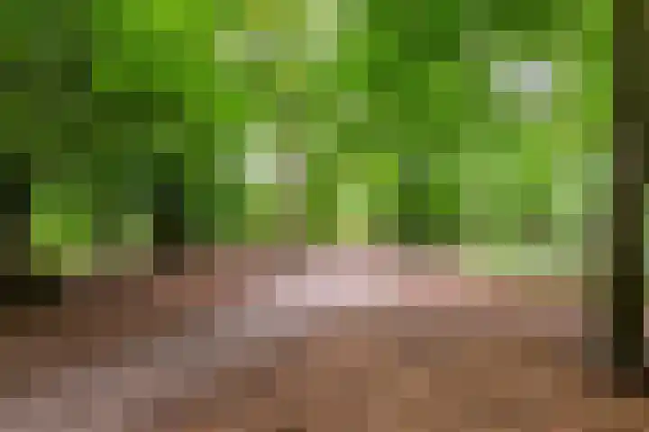 Bosuillaan 50 Bilthoven thumbnail 57