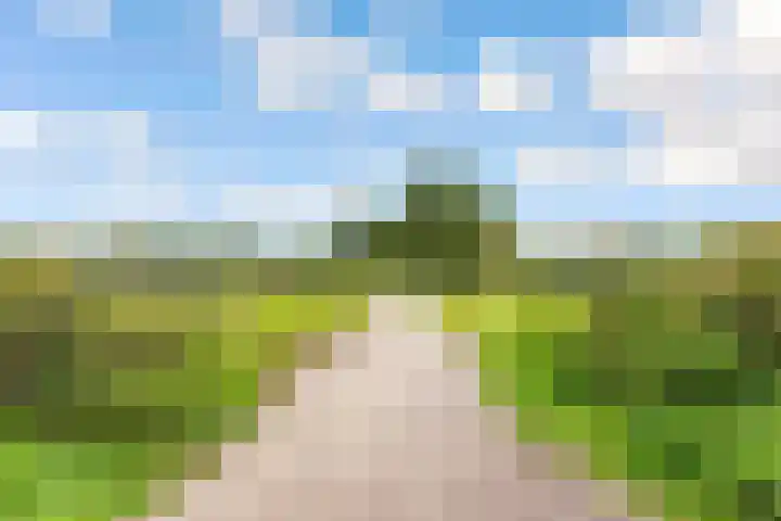 Bosuillaan 50 Bilthoven thumbnail 58