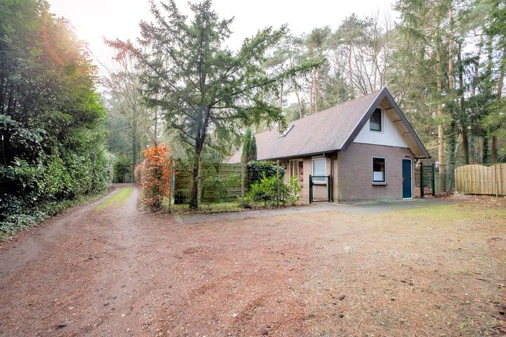 Bosuilpad 1 in Norg foto