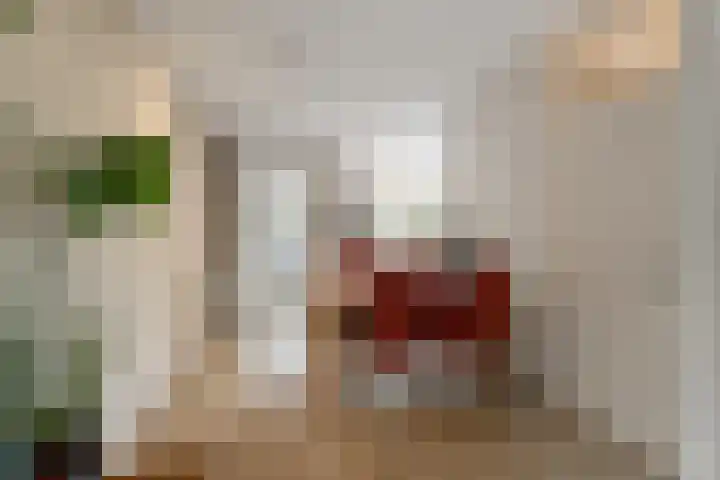Bosvaren 1 Heiloo thumbnail 10