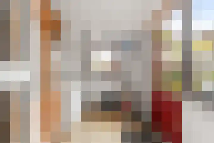 Bosvaren 1 Heiloo thumbnail 14