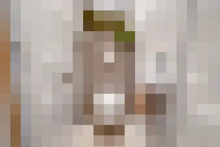 Bosvaren 1 Heiloo thumbnail 17