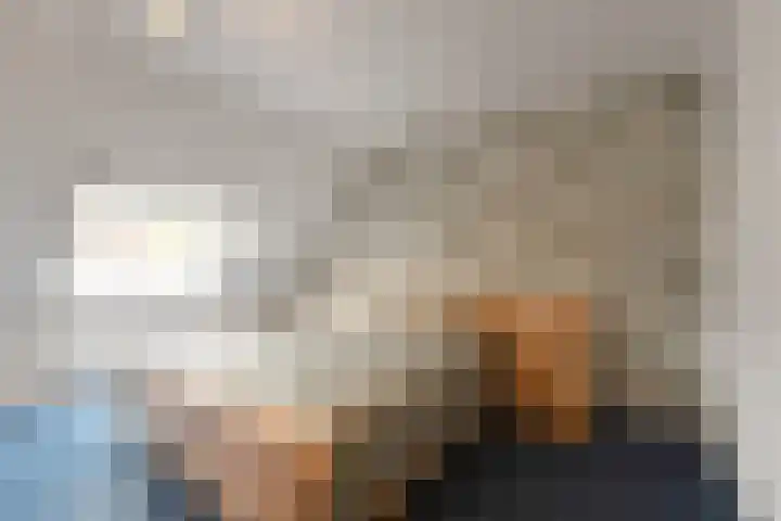 Bosvaren 1 Heiloo thumbnail 18