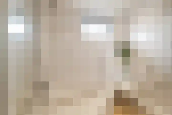 Bosvaren 1 Heiloo thumbnail 22