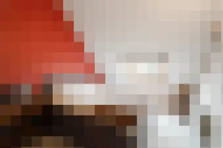 Bosvaren 1 Heiloo thumbnail 25