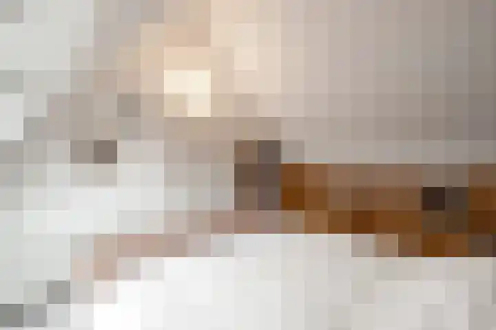 Bosvaren 1 Heiloo thumbnail 26