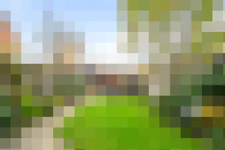 Bosvaren 1 Heiloo foto 3