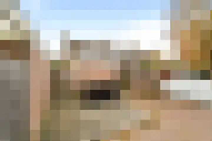 Bosvaren 1 Heiloo thumbnail 30