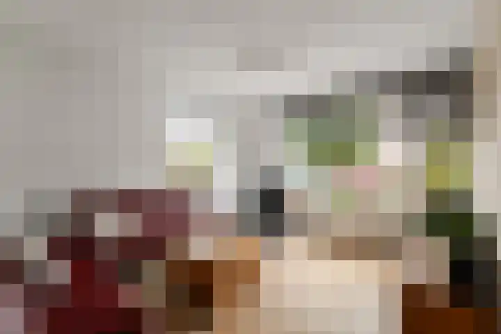 Bosvaren 1 Heiloo thumbnail 7