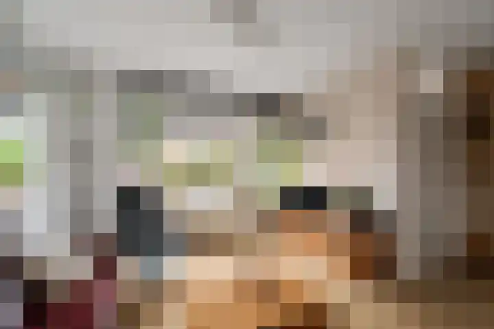 Bosvaren 1 Heiloo thumbnail 9
