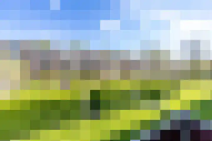 Bosveen 17 Ter Aar thumbnail 13